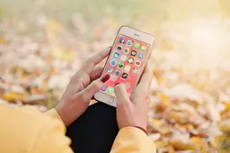 iOS Forensics with Belkasoft course image